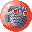 295.gif
