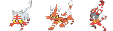 Shine 727.PNG
